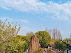 -苏州太湖国家湿地公园