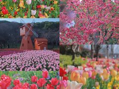 -苏州上方山国家森林公园