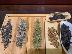 -青藤茶馆(南山路店)