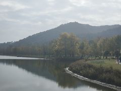 -千年银杏谷文化旅游区