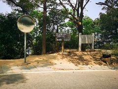 -梧桐山风景名胜区