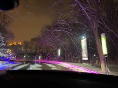 -枫花园汽车电影院(朝阳公园店)