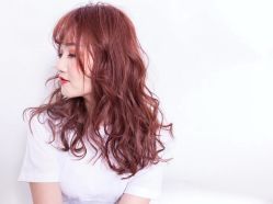 -THE LOG SALON 记录