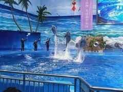 -多彩贵州城极地海洋世界