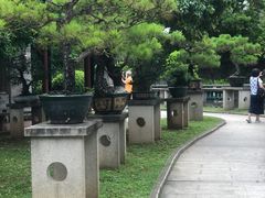 -碧江金楼