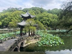 -忠山公园
