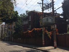 -猫咪博物馆(顶澳仔猫街店)