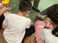-藦茜花园宠物主题亲子互动体验馆(国顺东路店)