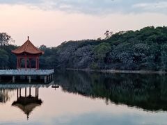 -广州莲花山旅游区