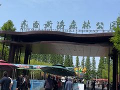 -黄海国家森林公园