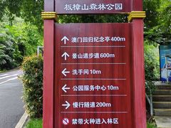 -板樟山森林公园