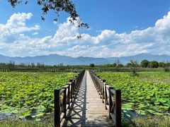 -野鸭湖国家湿地公园