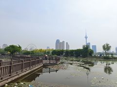 -天津水上公园