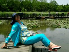 -溱湖国家湿地公园