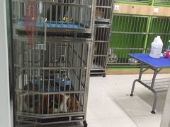 -米卢宠物公园(广华居店)
