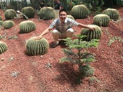 -呀路古热带植物园