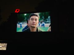 -枫花园汽车电影院(朝阳公园店)