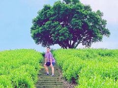 -帐篷客·溪龙茶谷度假酒店