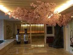 -碧中海汤泉汗蒸酒店