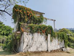 -广西壮族自治区药用植物园