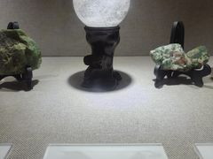 -陕西自然博物馆