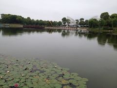 iphone_upload_pic-上海鲜花港