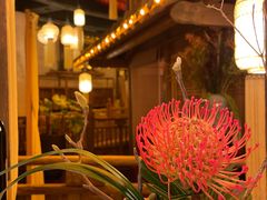 -叶叶菩提·晋福宫