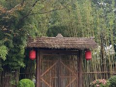 -新荣记(西溪湿地店)