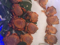 -澜悦港海鲜体验主题餐厅
