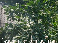 -回头食客-李久其家民间餐厅(望城金桥国际店)