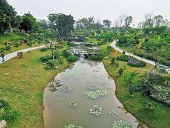 -东莞植物园