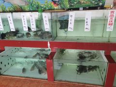 -西江河鲜·趣苑酒楼(鼎湖店)