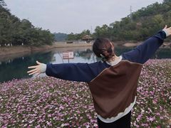-大雁山风景区
