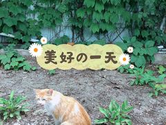 -三里屯东五街银杏大道