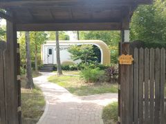 -上海海湾国家森林公园