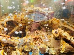 -蟹之国·精品蟹料理(极地店)