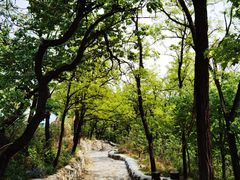 -阳台山自然风景区