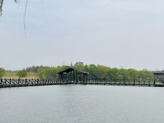 -溱湖国家湿地公园