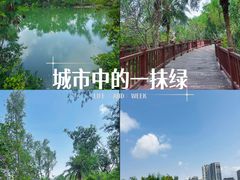 -金鸡岭桥头公园