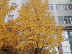 -武汉理工大学（余家头校区）航海楼