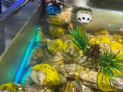 -V-ONE西雅图海鲜自助餐厅(仓山万达广场店)