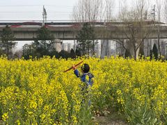 -临平南高铁站(地铁站)