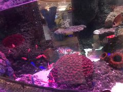 -沈阳海洋探索中心