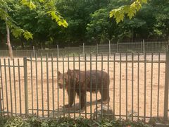-秦皇岛野生动物园