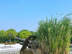 -上海吴淞炮台湾国家湿地公园