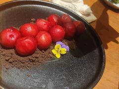 -月龍吟(朝龙汇店)