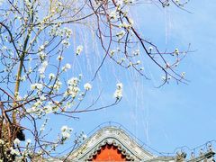 -颐和园