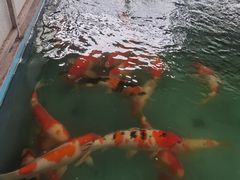 -伟记牛蹄(道滘店)