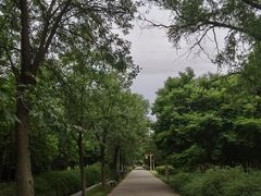 -洛阳市隋唐城遗址植物园