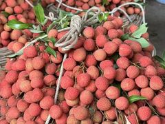 -鹏城八珍深圳特产手信(罗湖店)